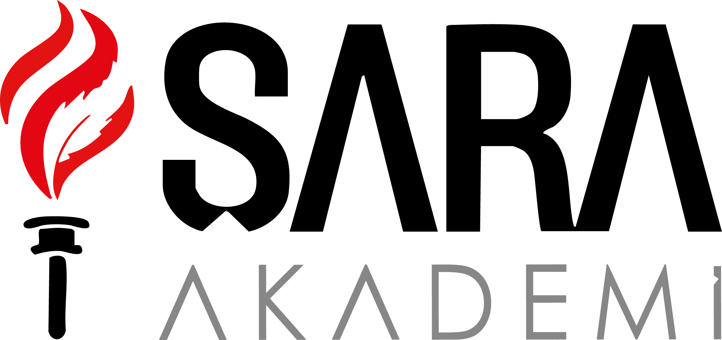 Online Eğitim Kursları | KPSS, YKS, ÖABT, DHBT, LGS, DGS Hazırlık Kursu – Şara Akademi